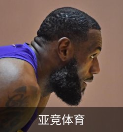 成功案例