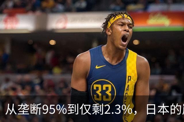 从垄断95%到仅剩2.3%，日本的崩溃循环，中国亲手按下终止键