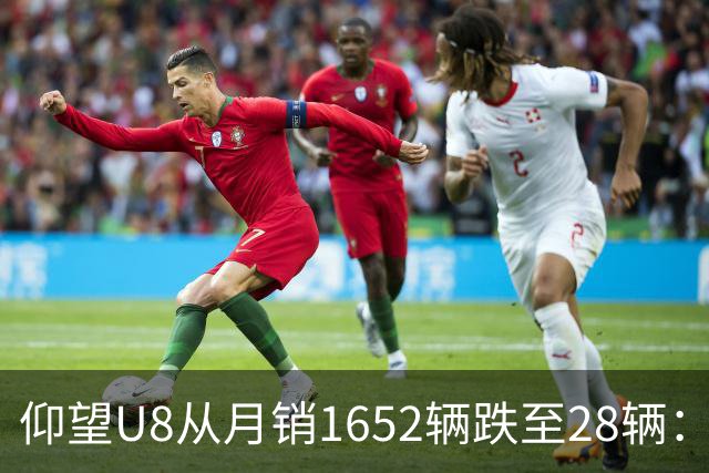 仰望U8从月销1652辆跌至28辆：技术堆满为何换不来百万市场？