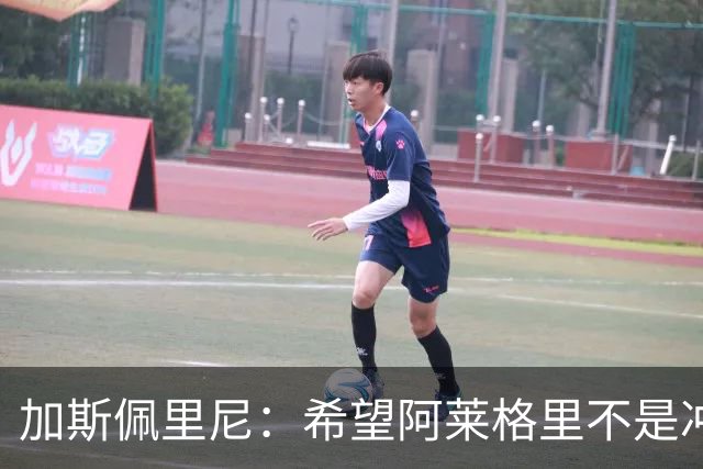 加斯佩里尼：希望阿莱格里不是冲我生气，把他罚下的可不是我