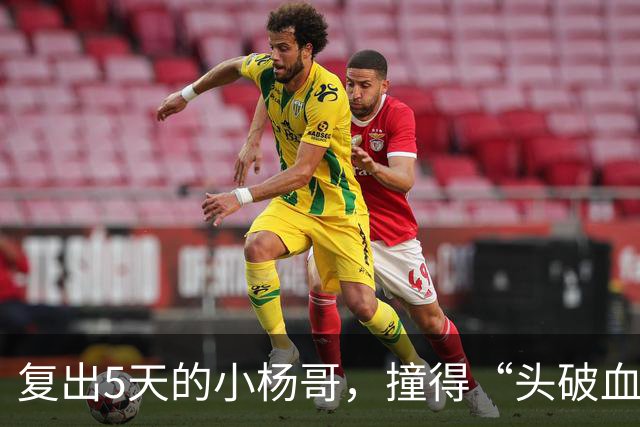 复出5天的小杨哥，撞得“头破血流”
