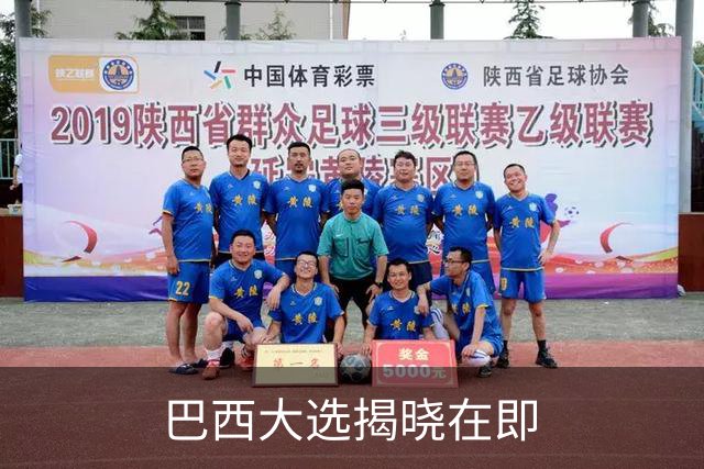 巴西大选揭晓在即