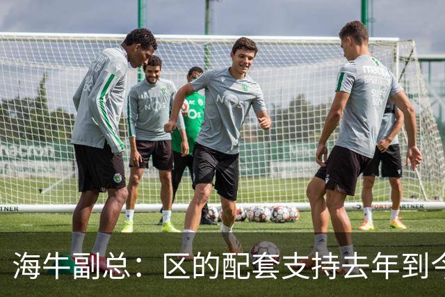 海牛副总：区的配套支持去年到今年都没落实，资金缺口4000万