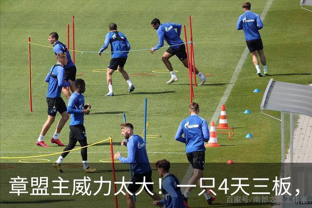 章盟主威力太大！一只4天三板，一只6天6板，有人哭有人笑
